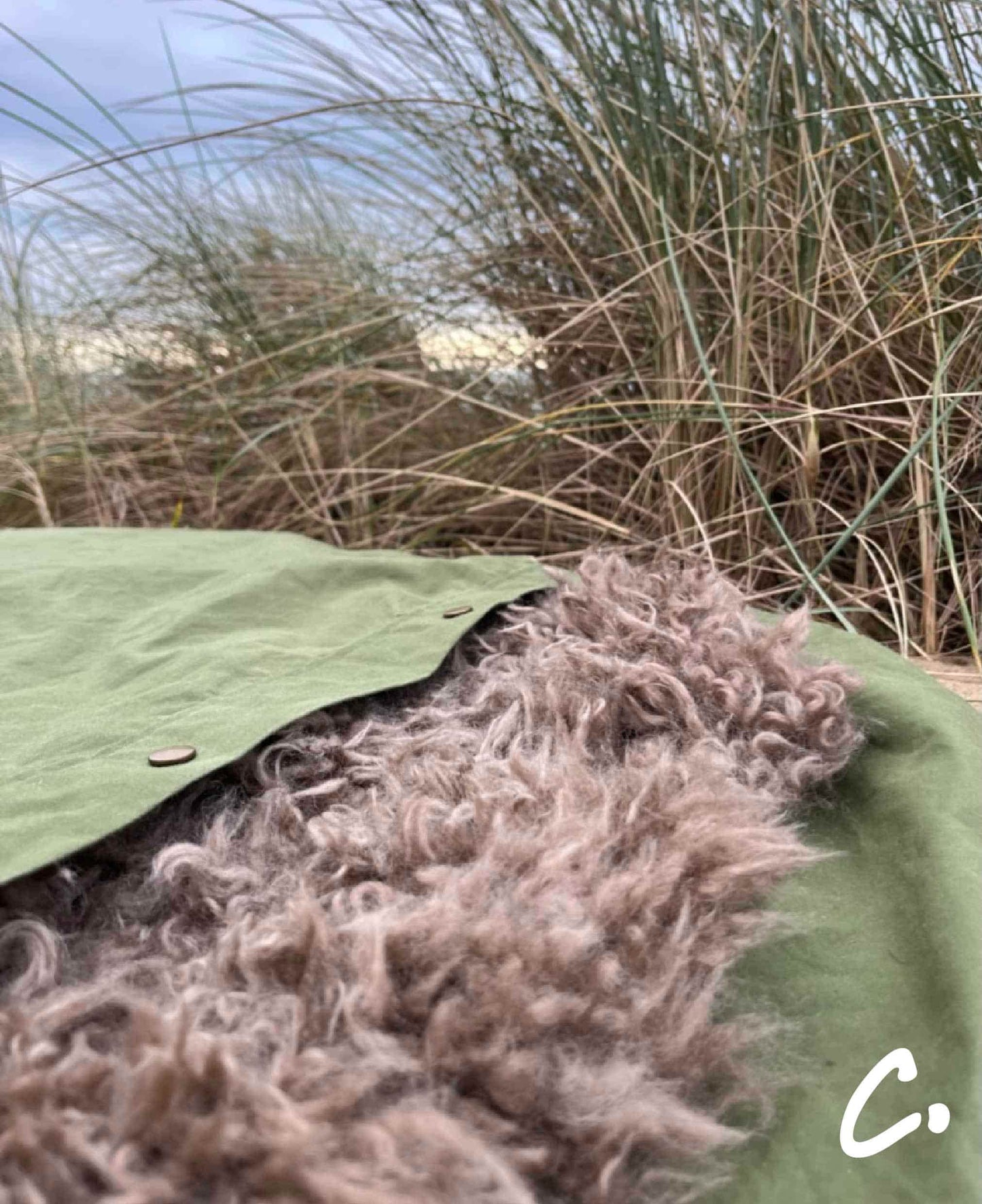 DOGGY BIVVY BAG