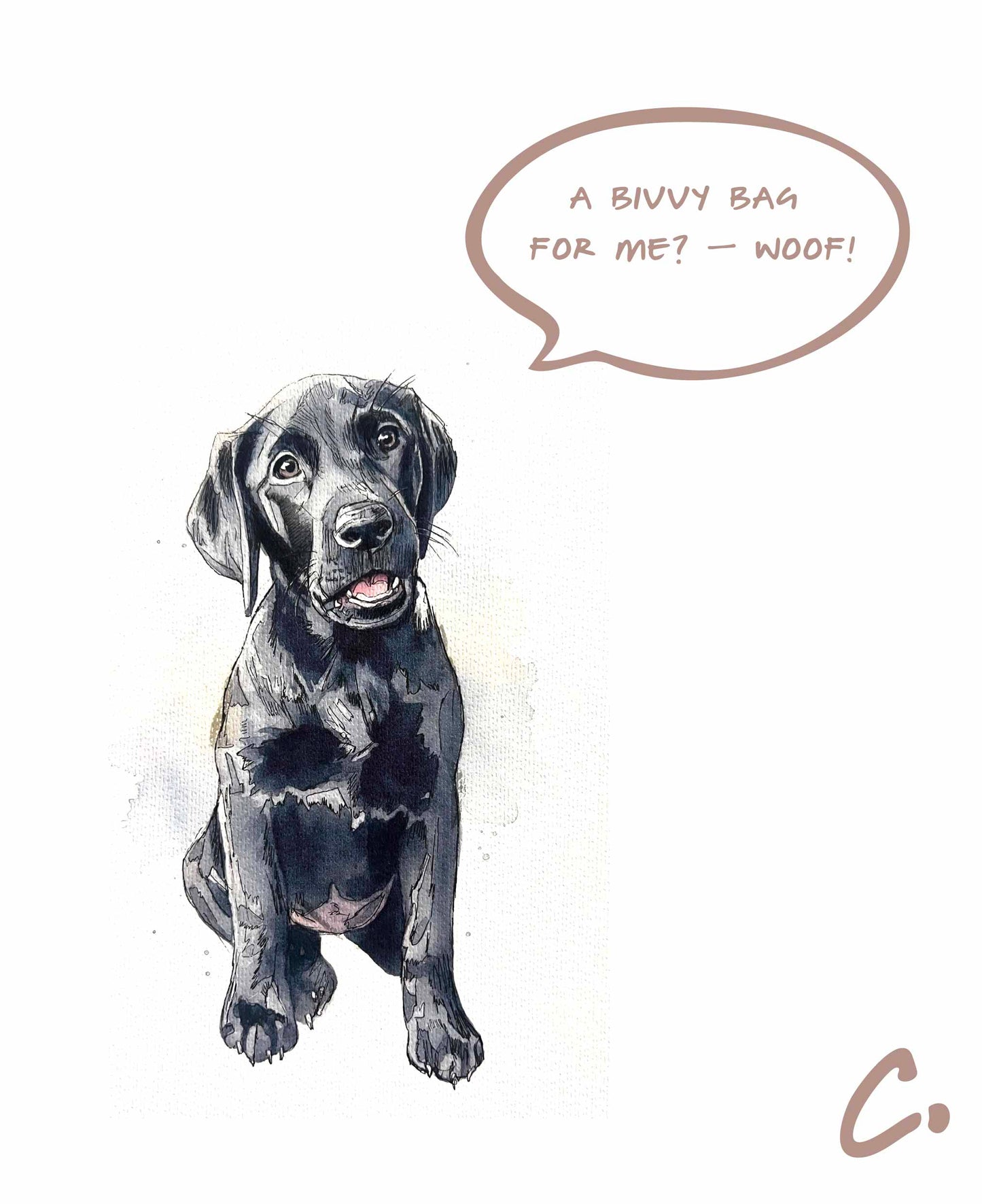 DOGGY BIVVY BAG
