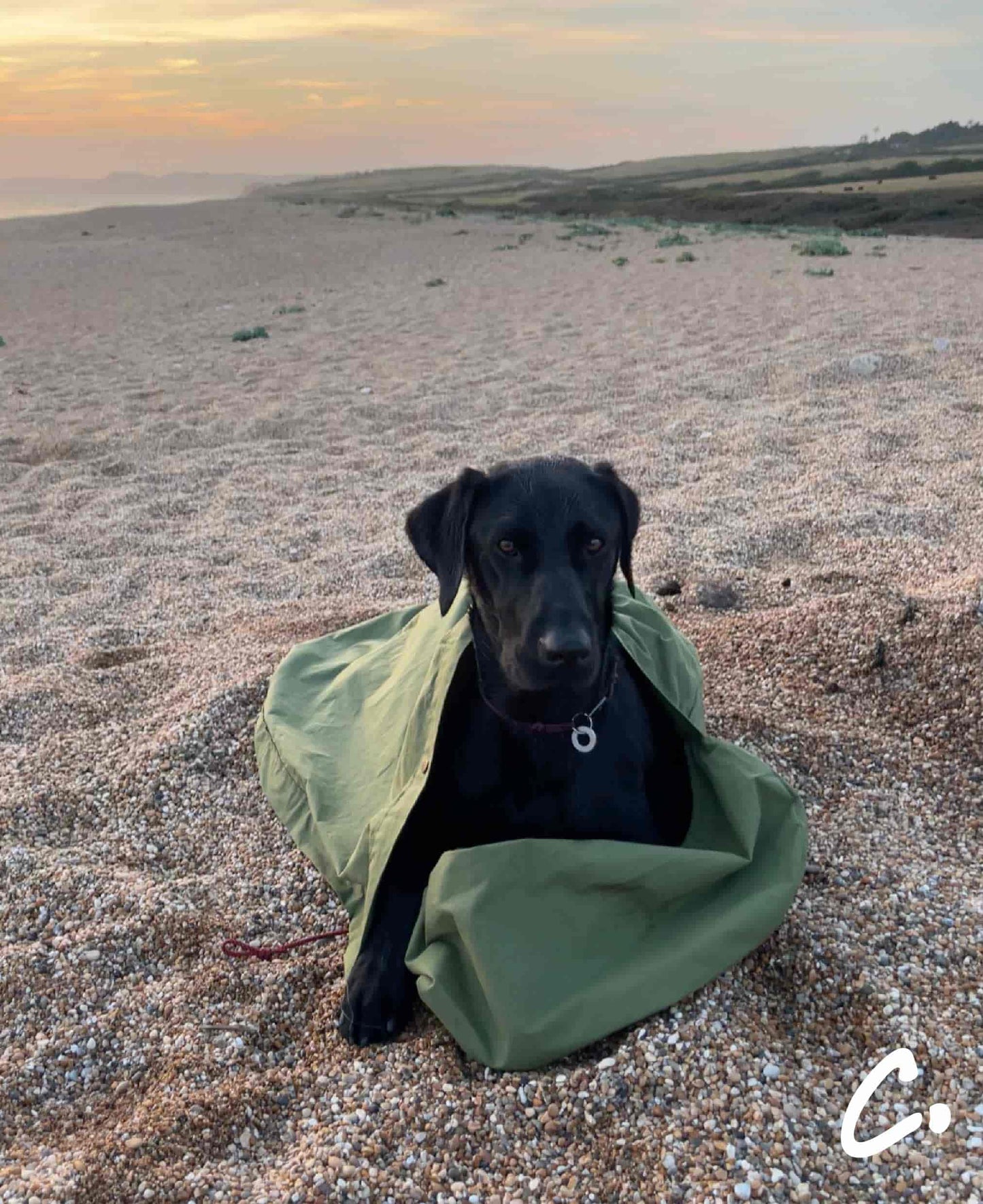 DOGGY BIVVY BAG