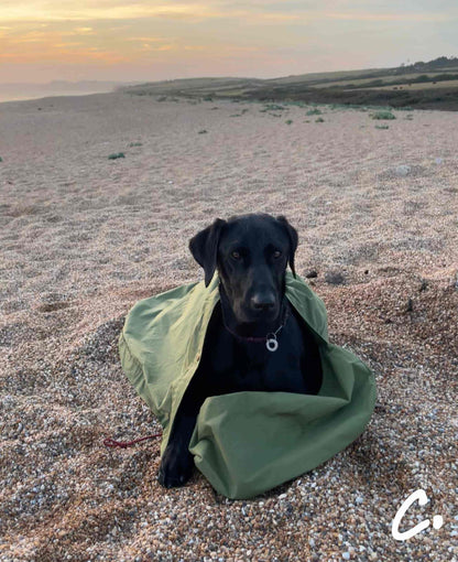 DOGGY BIVVY BAG