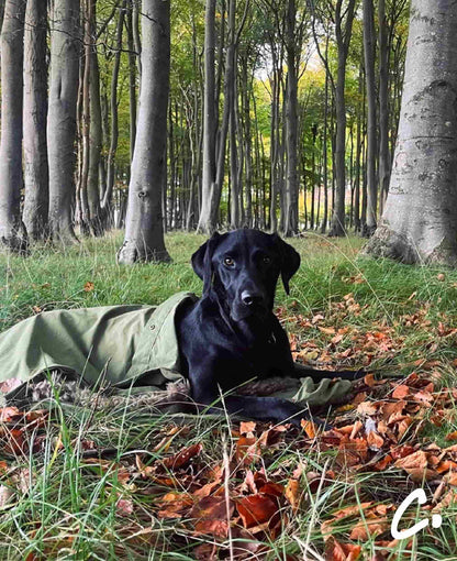 DOGGY BIVVY BAG